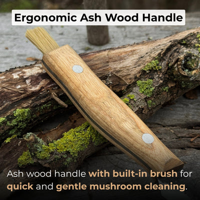 Hand - Forged Knife for Mushroom Foraging, 8 cm (3.15 inches) - 3