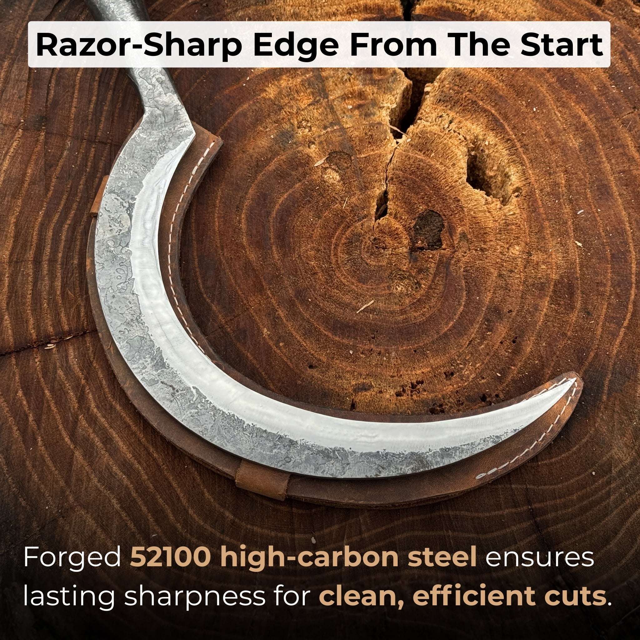 Hand - Forged Large Sickle, ⌀19 cm (7.5 inches) - 2