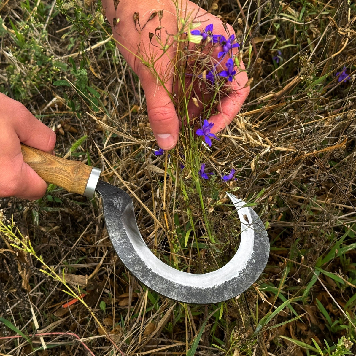 Hand-Forged Small Sickle, ⌀9 cm (3.54 inches) - 4