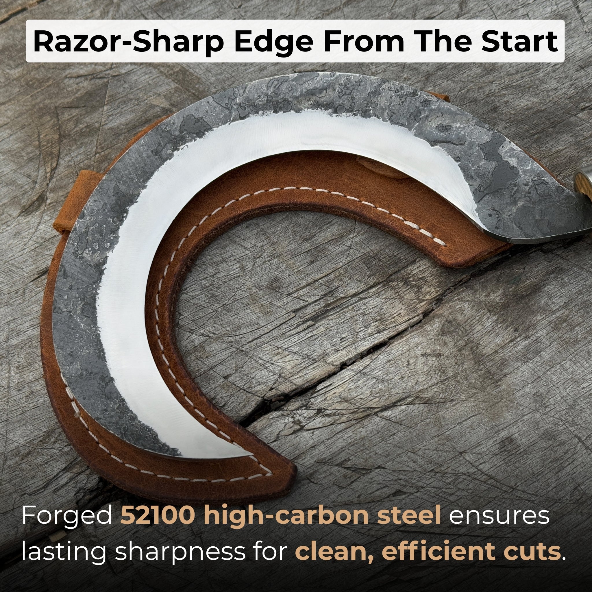 Hand - Forged Small Sickle, ⌀9 cm (3.54 inches) - 2