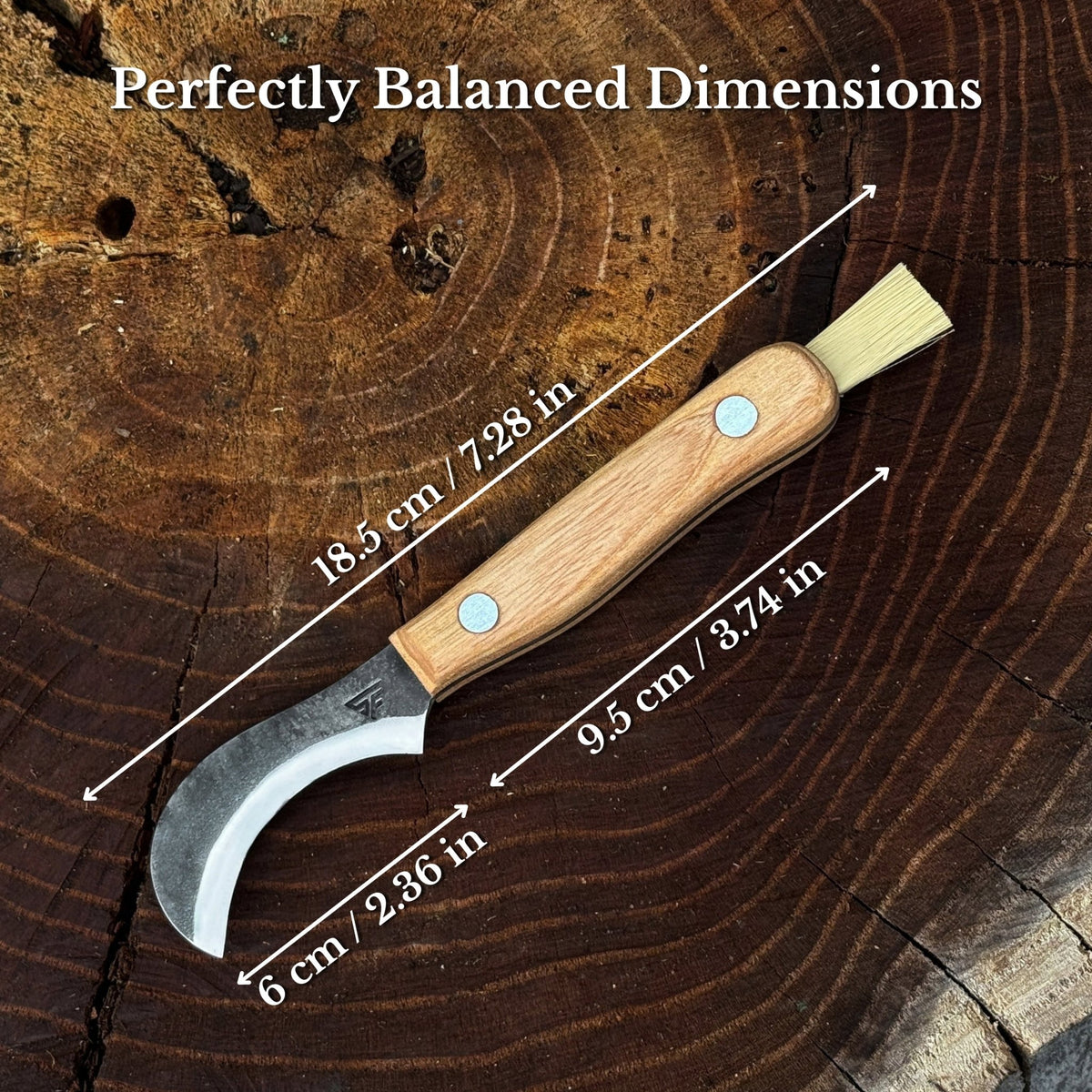 Mushroom Knife for Forest Walks, 6 cm (2.36 inches) - 3