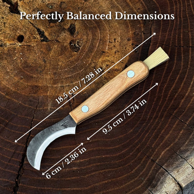 Mushroom Knife for Forest Walks, 6 cm (2.36 inches) - 3