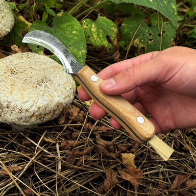 Mushroom Knife for Forest Walks, 6 cm (2.36 inches) - 4