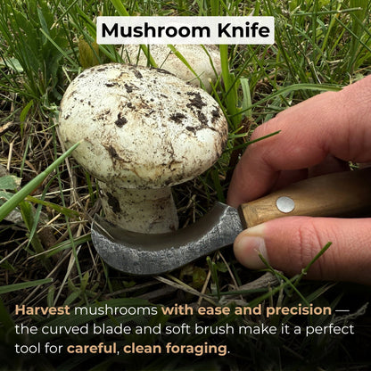 Mushroom Knife for Forest Walks, 6 cm (2.36 inches) - 7