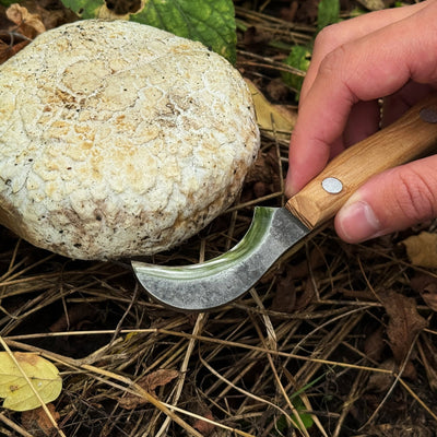 Mushroom Knife for Forest Walks, 6 cm (2.36 inches) - 5