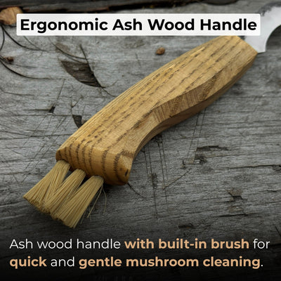 Mushroom Knife for Forest Walks, 6 cm (2.36 inches) - 3