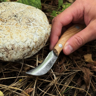Mushroom Knife for Forest Walks, 6.5 cm (2.56 inches) - 5