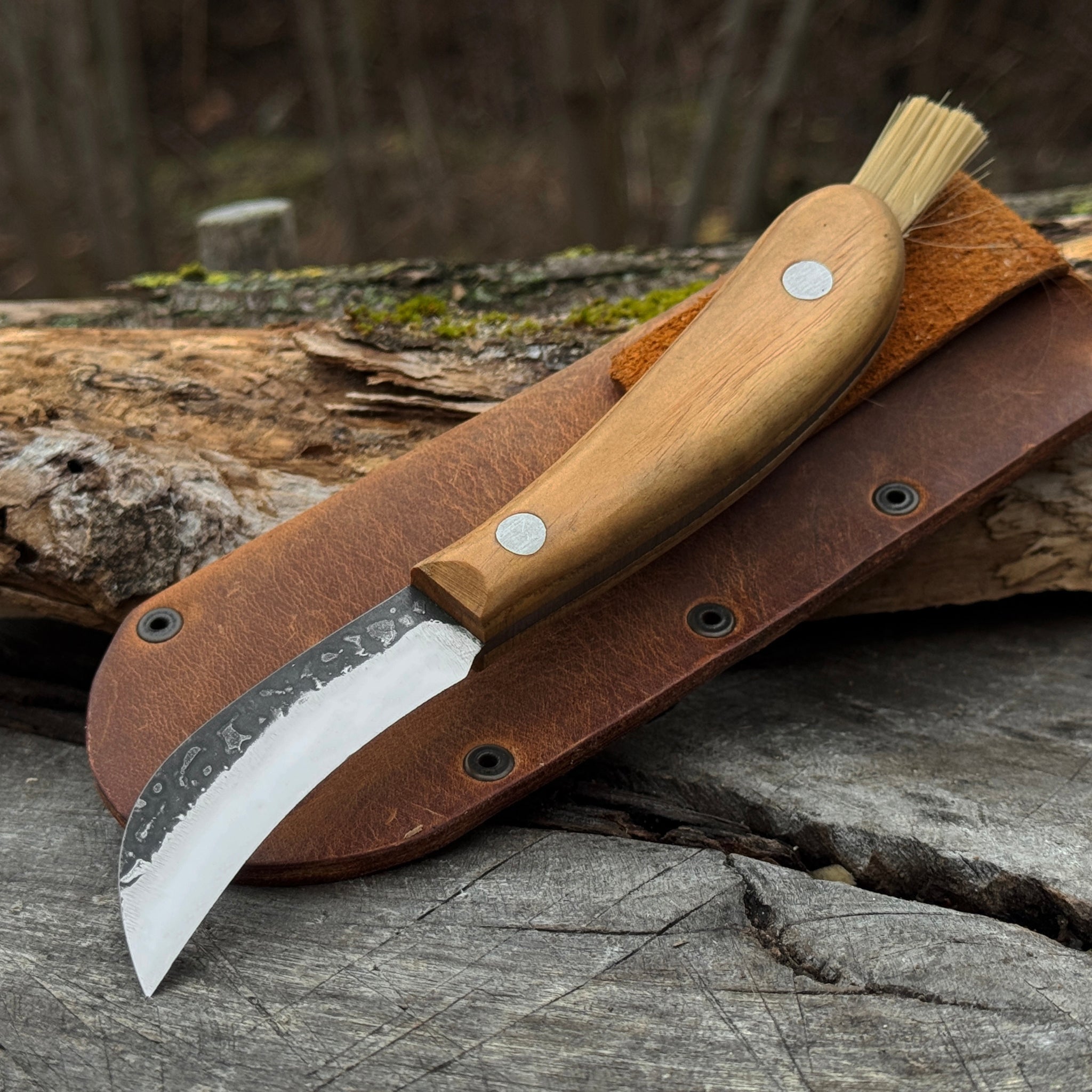 Mushroom Knife for Forest Walks, 6.5 cm (2.56 inches) - 15