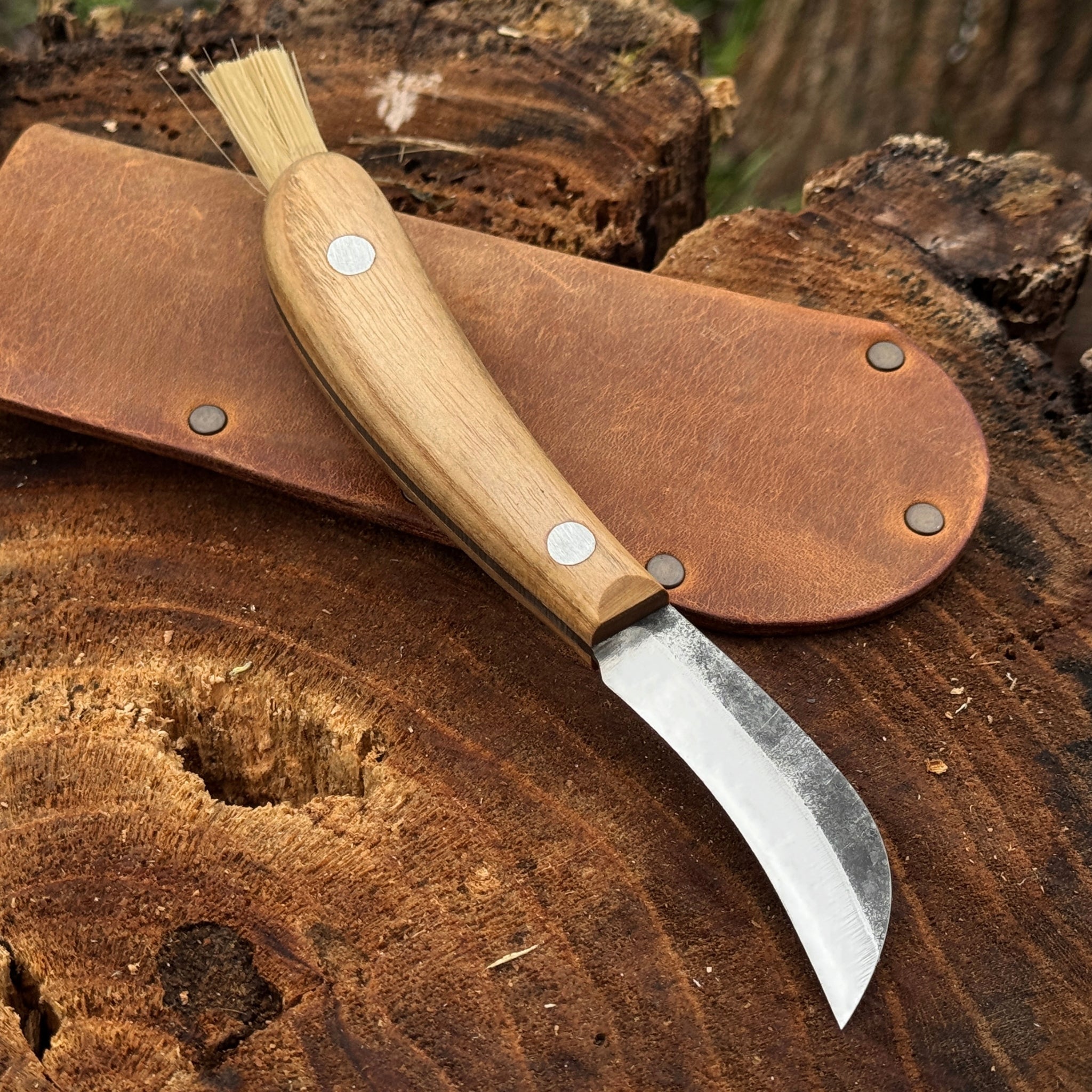 Mushroom Knife for Forest Walks, 6.5 cm (2.56 inches) - 14