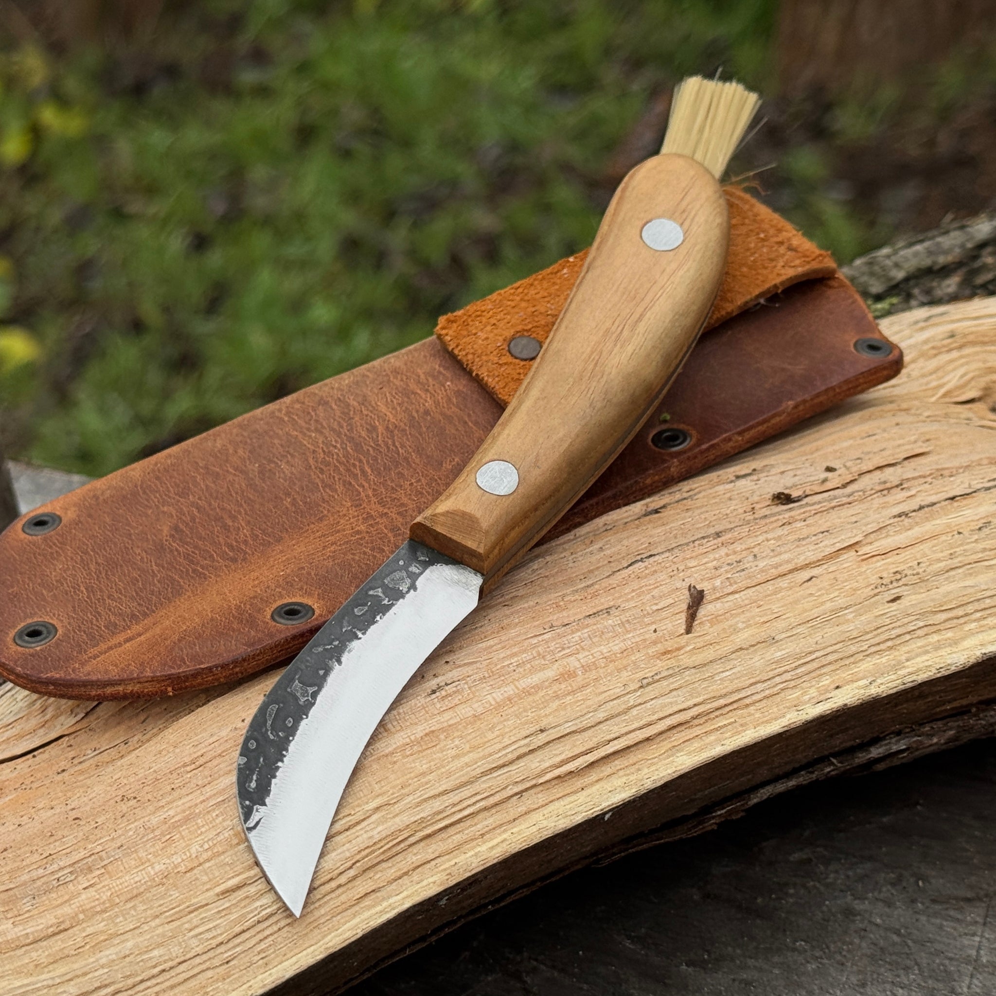 Mushroom Knife for Forest Walks, 6.5 cm (2.56 inches) - 12