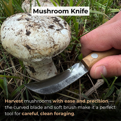 Mushroom Knife for Forest Walks, 6.5 cm (2.56 inches) - 7