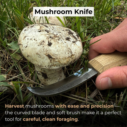 Mushroom Knife with Brush For Harvesting, 7.5 cm (2.95 inches) - 7