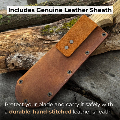 Mushroom Knife with Brush For Harvesting, 7.5 cm (2.95 inches) - 4