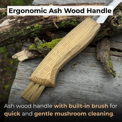 Mushroom Knife with Brush For Harvesting, 7.5 cm (2.95 inches) - 3