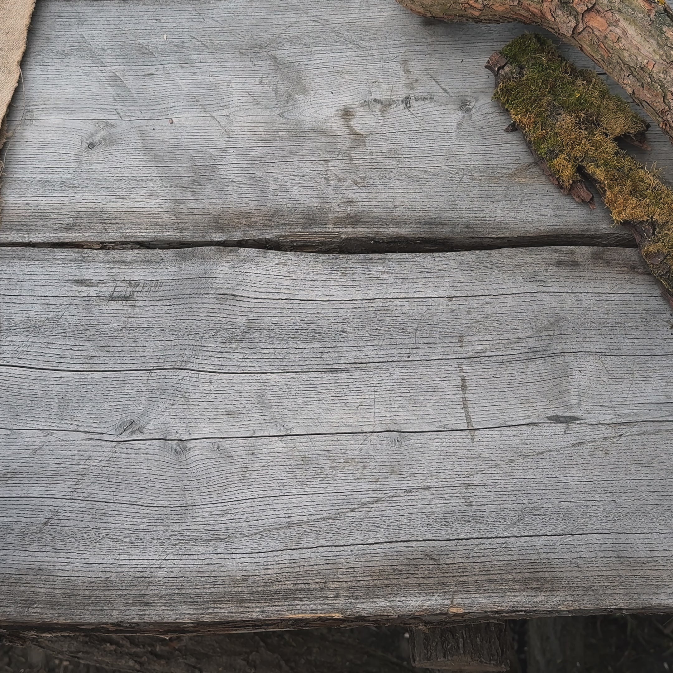 Hedgehog Carving Kit - Complete Starter Whittling Kit for Beginners, Adults, Teens, and Kids