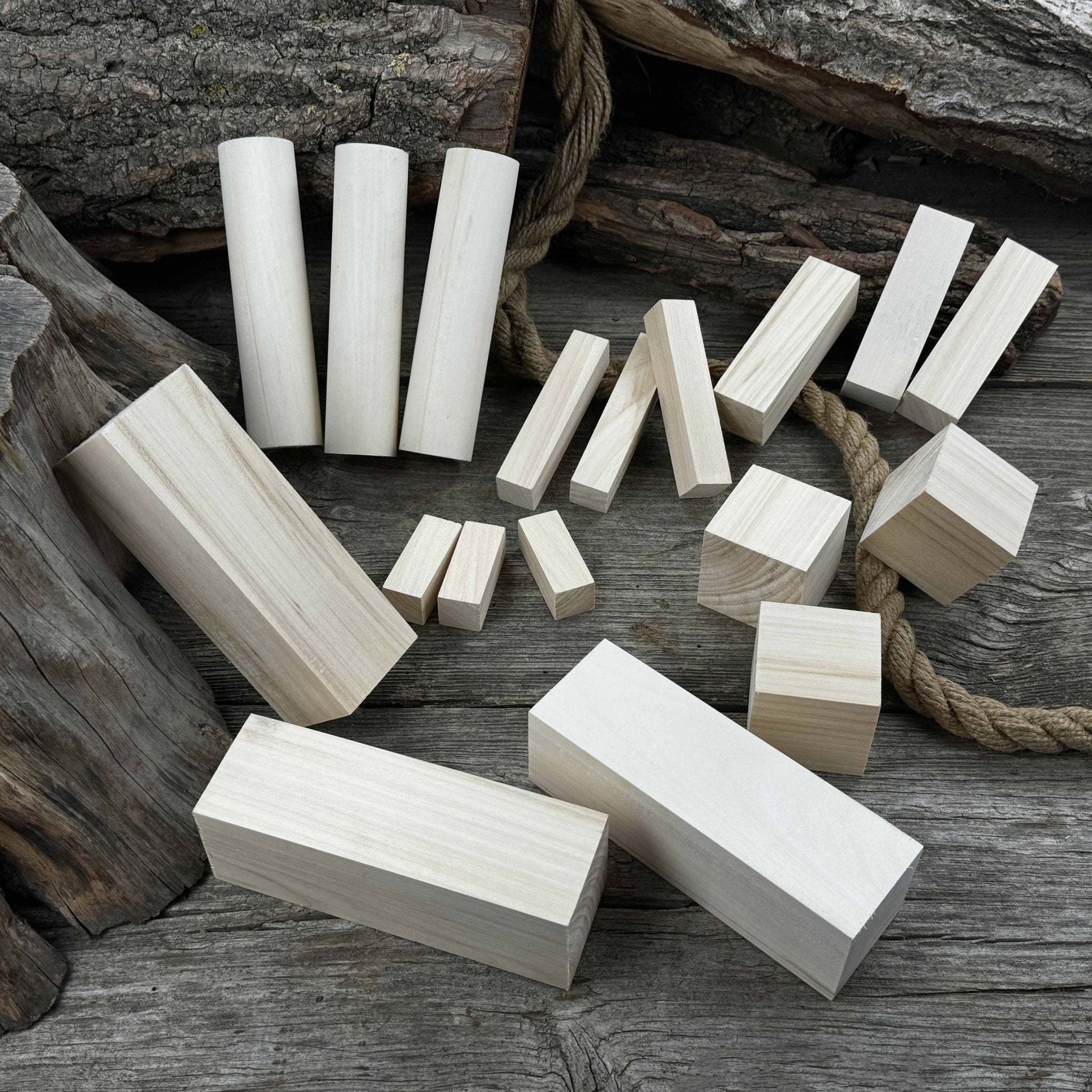 Set of 18 Assorted Linden Wood Carving Blanks - 6