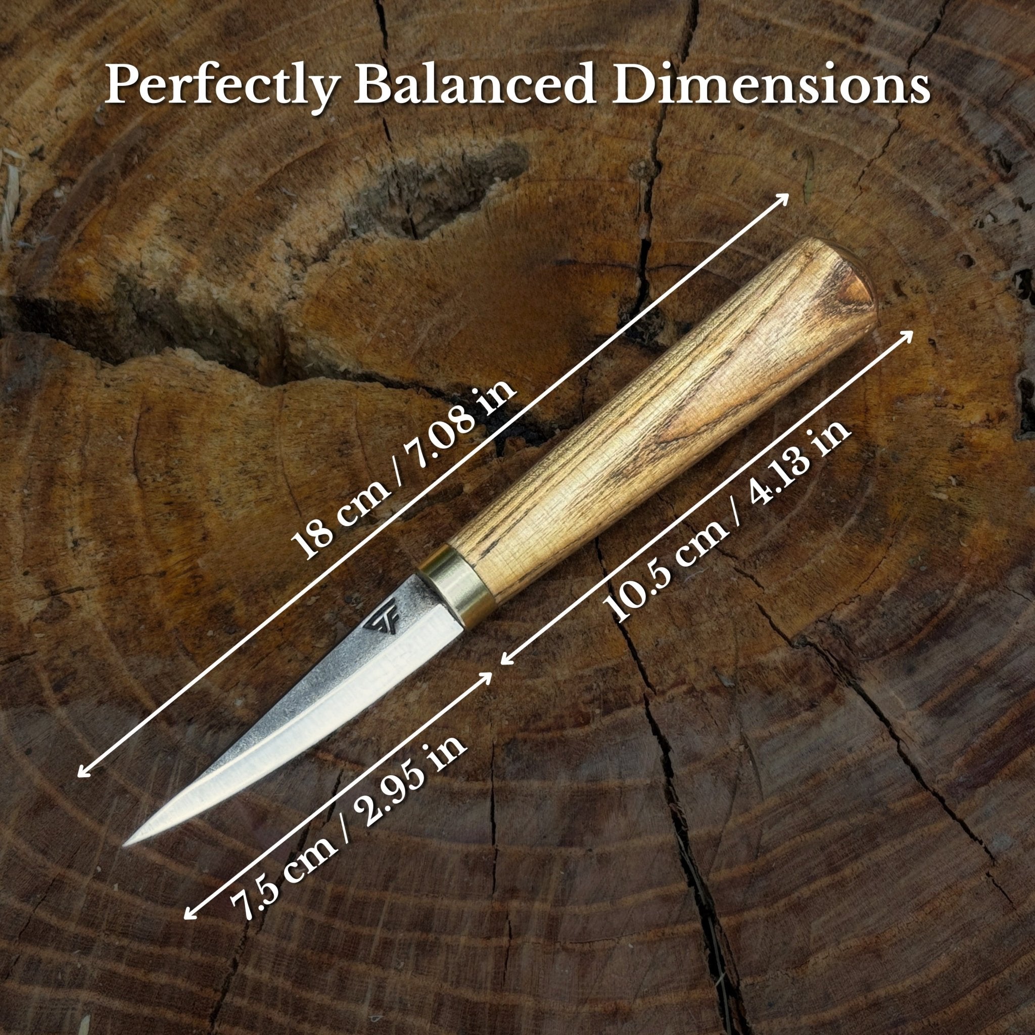 Whittling Sloyd Knife, 7.5 cm (2.95 inches) - 2